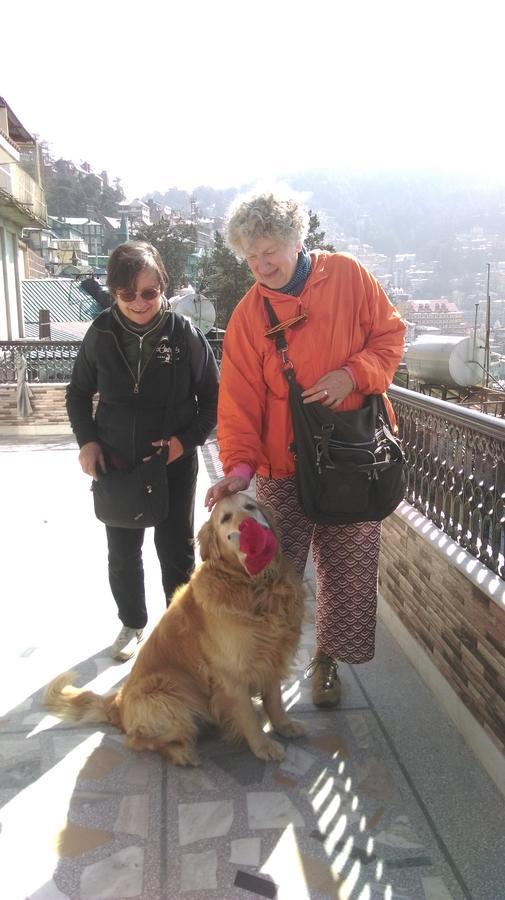 The Thistle Lodge Shimla Exterior foto